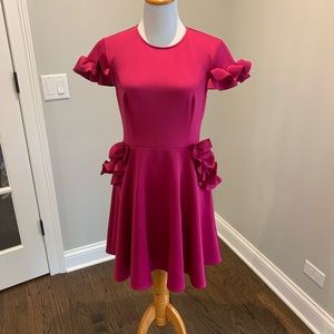 Ted Baker magenta dress! Tags still on.